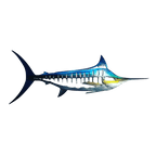 Fanyil Metal Shark Art