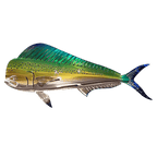 Fanyil Metal Shark Art