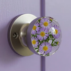 Fanyil NatureNest Crystal Knob